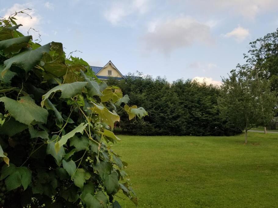 Basecampwv-Durbin. Spacious 4 Bedroom House W/Yard Bagian luar foto